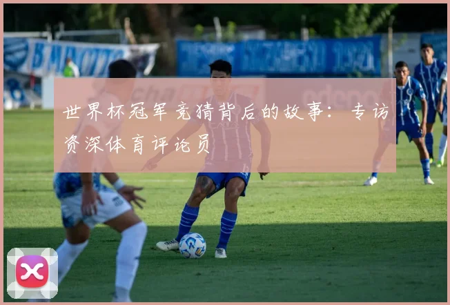 世界杯冠军竞猜背后的故事：专访资深体育评论员