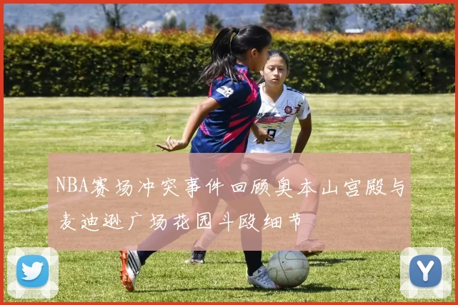 NBA赛场冲突事件回顾奥本山宫殿与麦迪逊广场花园斗殴细节