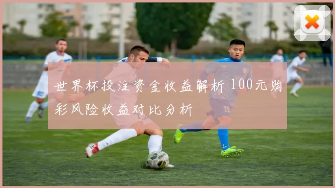 世界杯投注资金收益解析 100元购彩风险收益对比分析