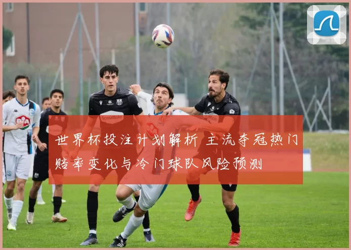 世界杯投注计划解析 主流夺冠热门赔率变化与冷门球队风险预测